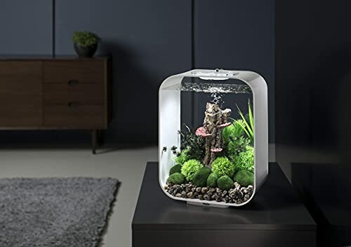biOrb Life 15 Aquarium